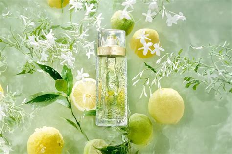 perfume cítrico natura|perfumes citricos florales para mujer.